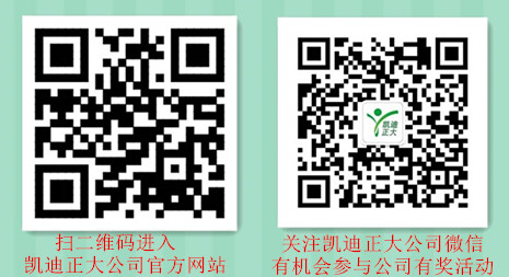 凱迪正大公司官方網(wǎng)站全新上線(xiàn)啦
